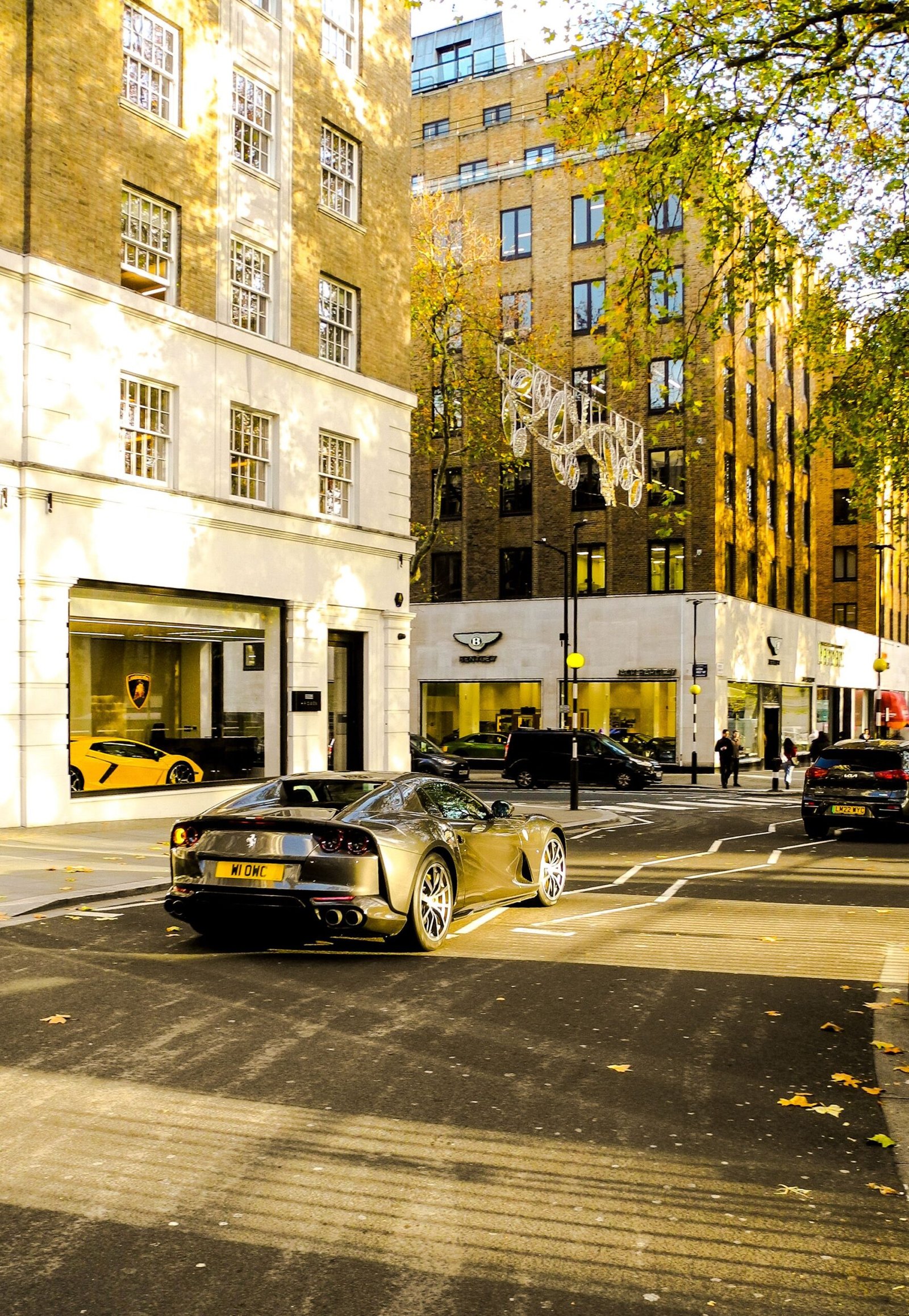 private London chauffeur sightseeing tour